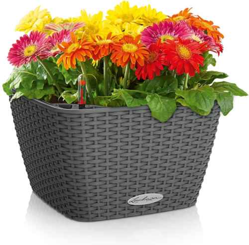 BACINO Cottage Granite